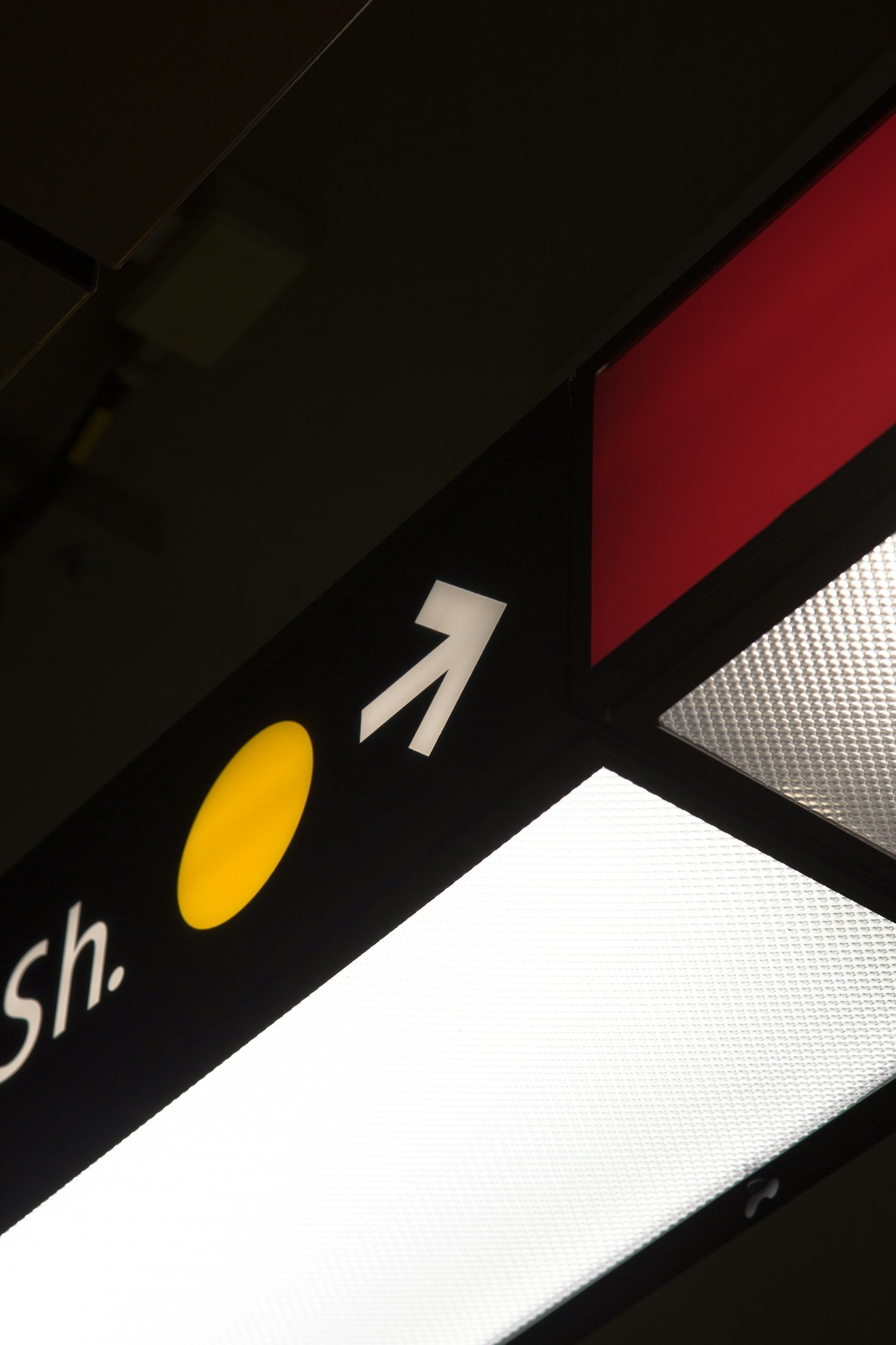 Why Graphic Design Is Crucial for Business Success